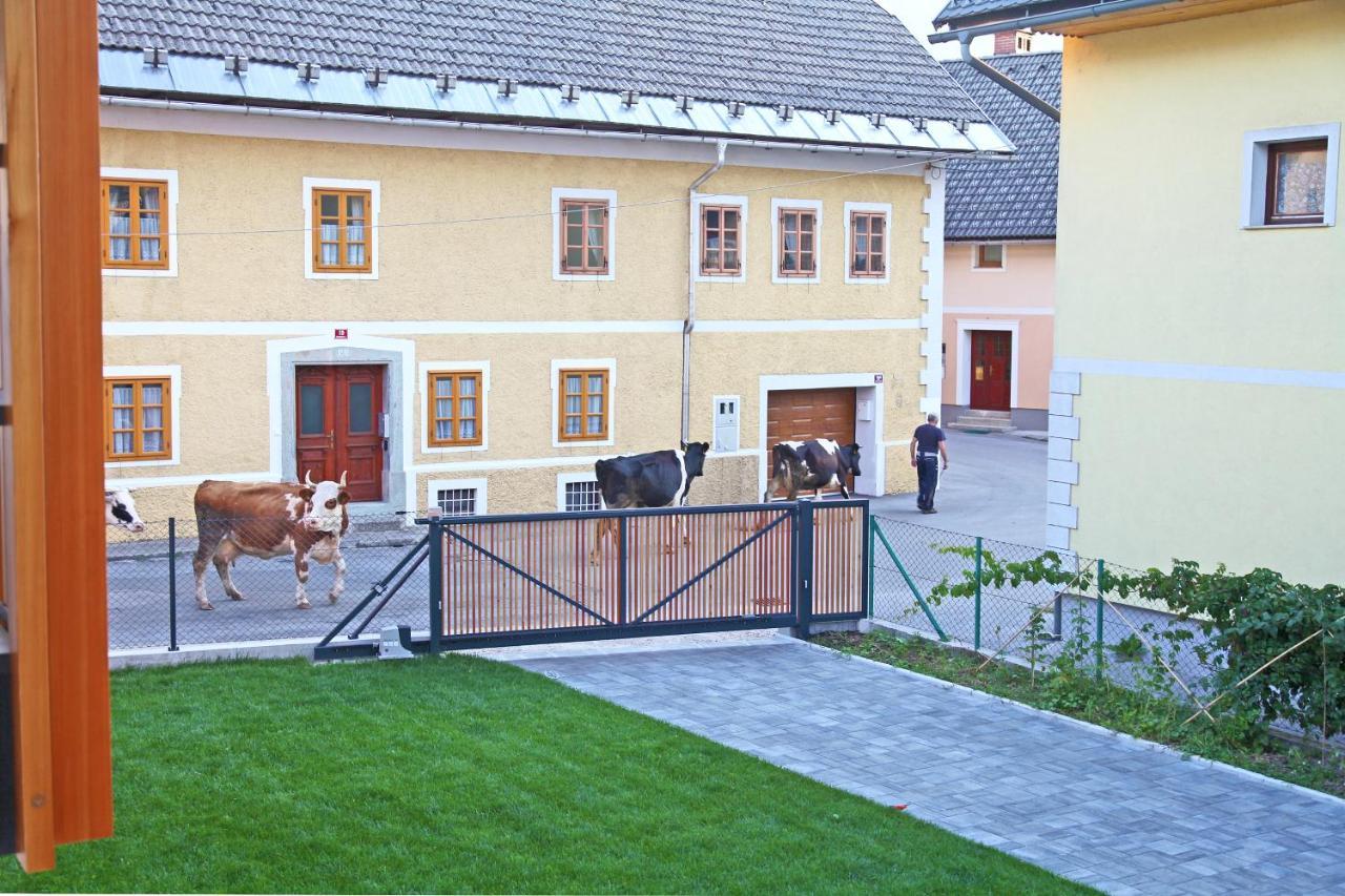 Apartment Jurijana - New 4-Bedroom Triplex With Sauna & Garden Bohinj Luaran gambar